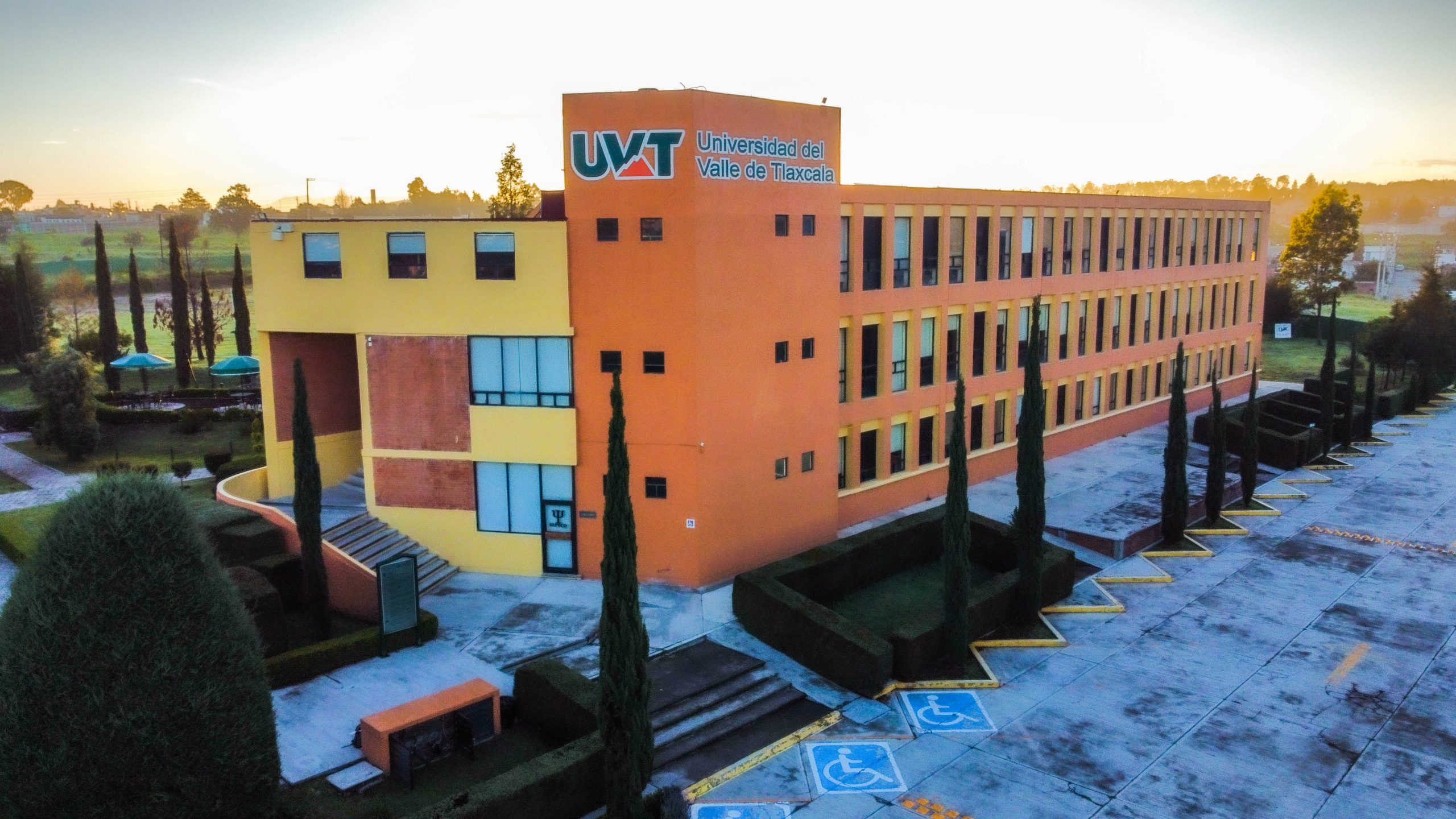 Estudiantes universitarios modernos online